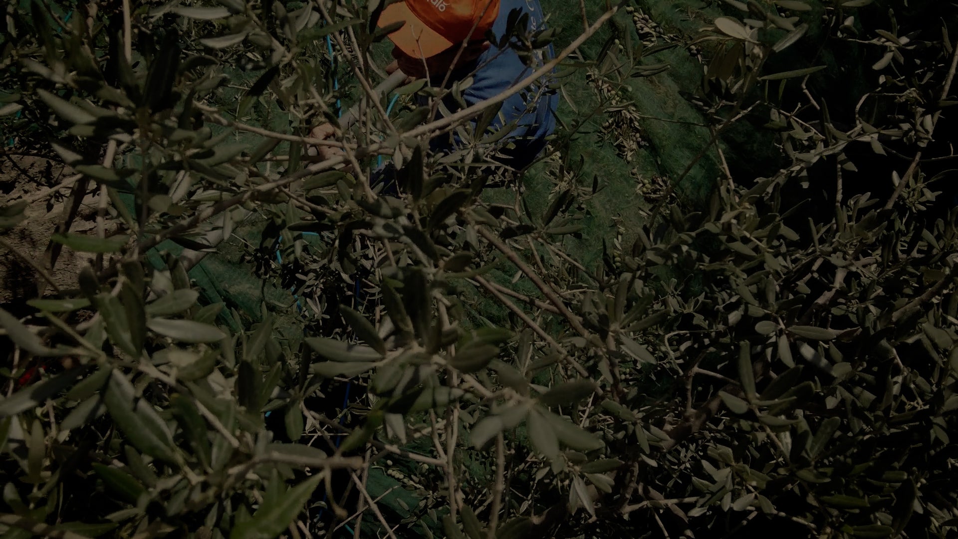 Load video: Our story